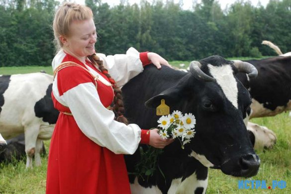 Агрохолдинг «Русское молоко» приступает к строительству животноводческого комплекса